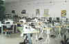 mostra6.jpg (37055 byte)